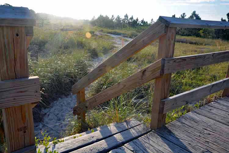 boardwalk